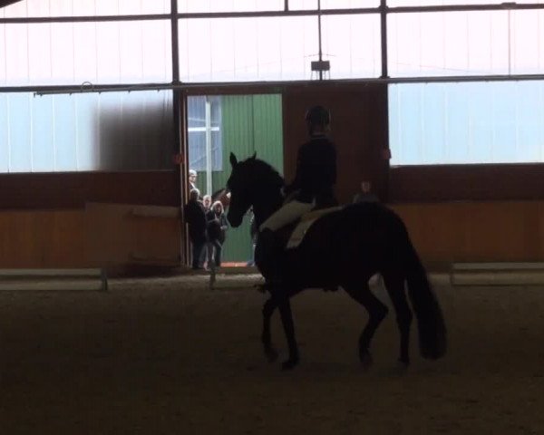 Reitturnier Iserlohn-Kalthof 2016