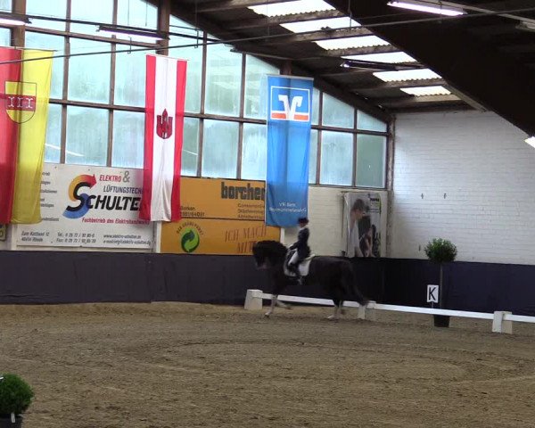 Reitturnier Borken 2016