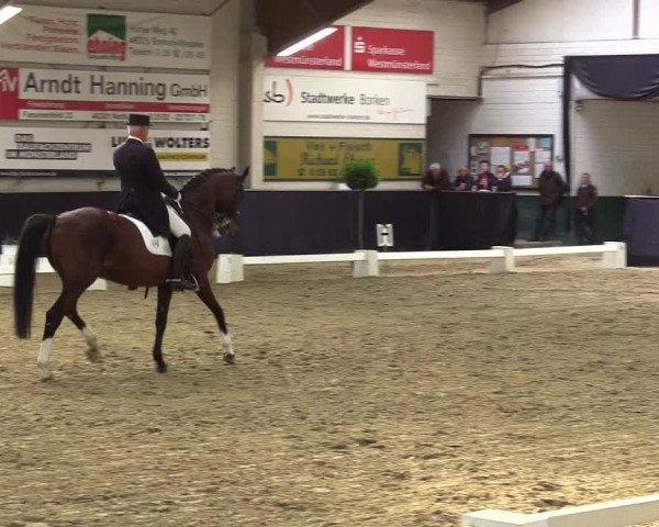 Reitturnier Borken 2016