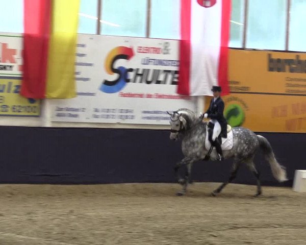 Reitturnier Borken 2016
