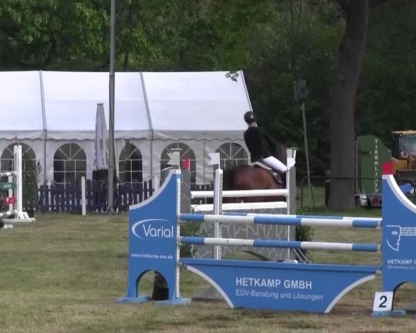 Reitturnier Borken 2016