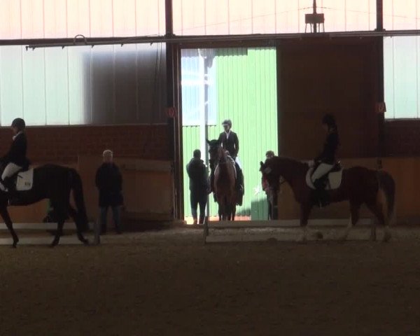 Reitturnier Iserlohn-Kalthof 2016