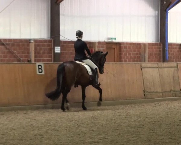 Reitturnier Iserlohn-Kalthof 2016