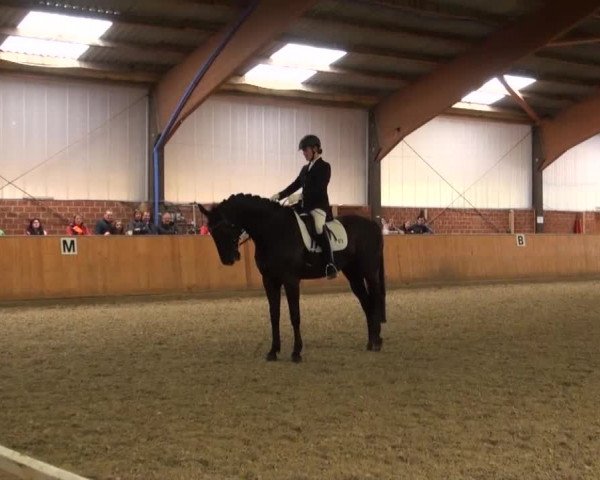 Reitturnier Iserlohn-Kalthof 2016