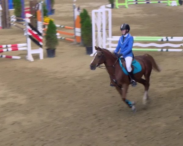 Reitturnier Buchs 2021