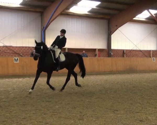 Reitturnier Iserlohn-Kalthof 2016
