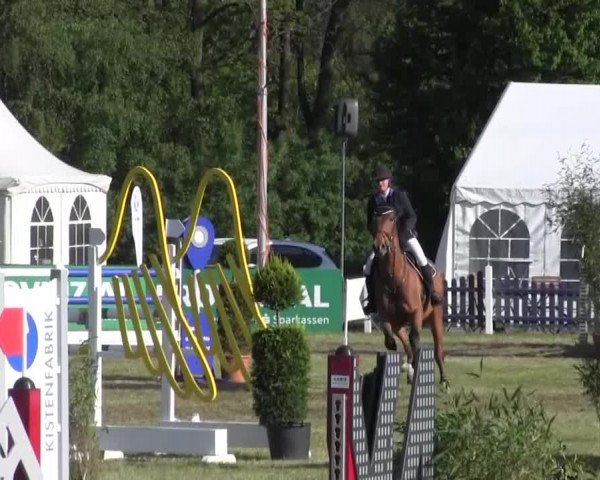 Reitturnier Borken 2016