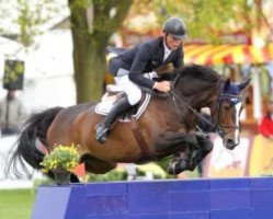 Springpferd Utasha SFN (KWPN (Niederländisches Warmblut), 2001, von Lux Z)