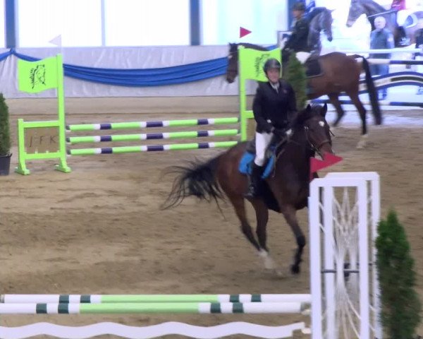 Reitturnier Buchs 2021