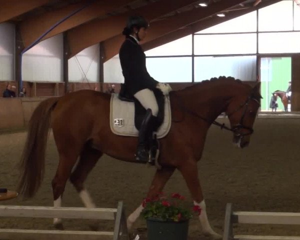Reitturnier Iserlohn-Kalthof 2016