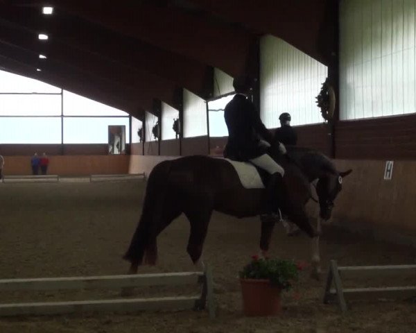 Reitturnier Iserlohn-Kalthof 2016