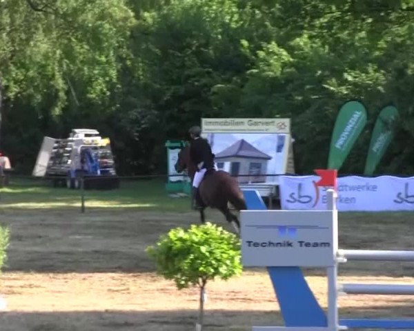 Reitturnier Borken 2016