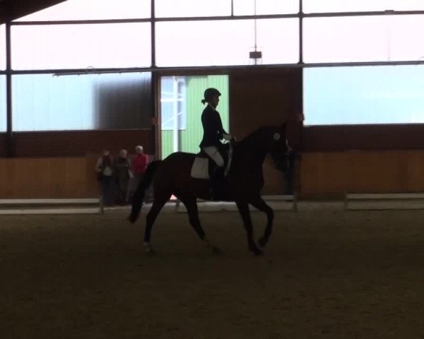 Reitturnier Iserlohn-Kalthof 2016