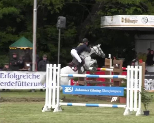 Reitturnier Borken 2016