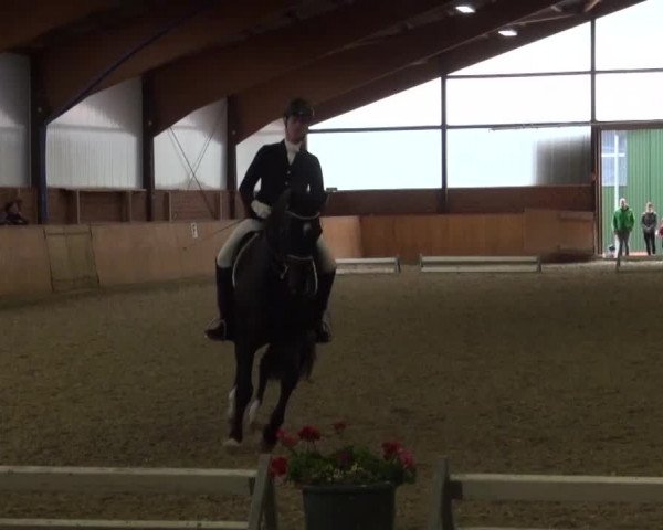Reitturnier Iserlohn-Kalthof 2016