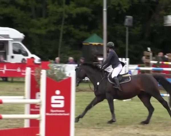 Reitturnier Borken 2016