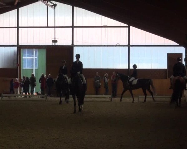 Reitturnier Iserlohn-Kalthof 2016