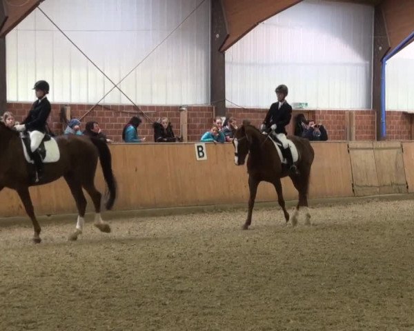 Reitturnier Iserlohn-Kalthof 2016