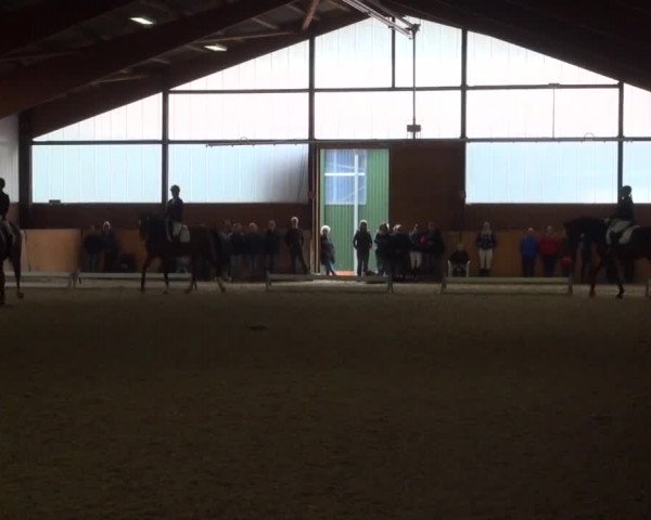 Reitturnier Iserlohn-Kalthof 2016