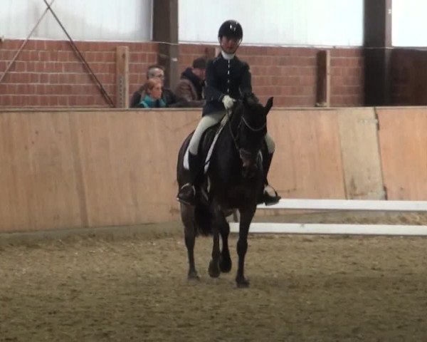 Reitturnier Iserlohn-Kalthof 2016
