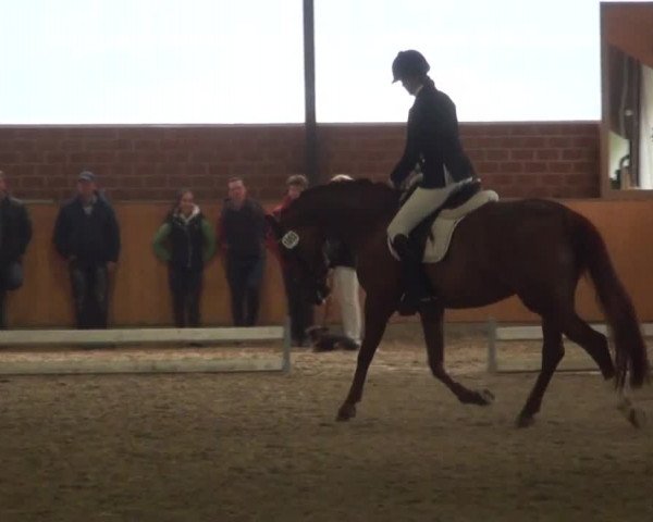 Reitturnier Iserlohn-Kalthof 2016
