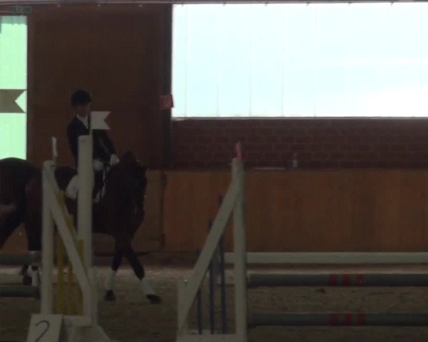 Reitturnier Iserlohn-Kalthof 2016