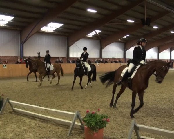 Reitturnier Iserlohn-Kalthof 2016