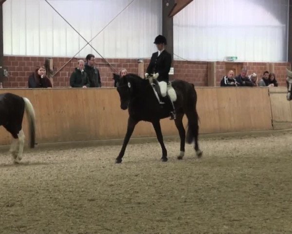 Reitturnier Iserlohn-Kalthof 2016
