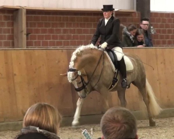 Reitturnier Iserlohn-Kalthof 2016