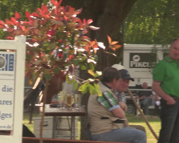 Reitturnier Kreuzkrug 2016