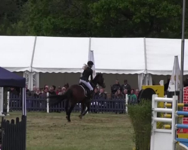 Reitturnier Borken 2016