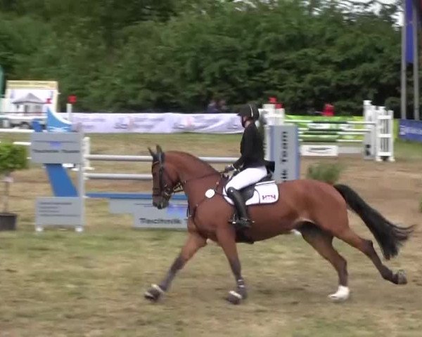 Reitturnier Borken 2016