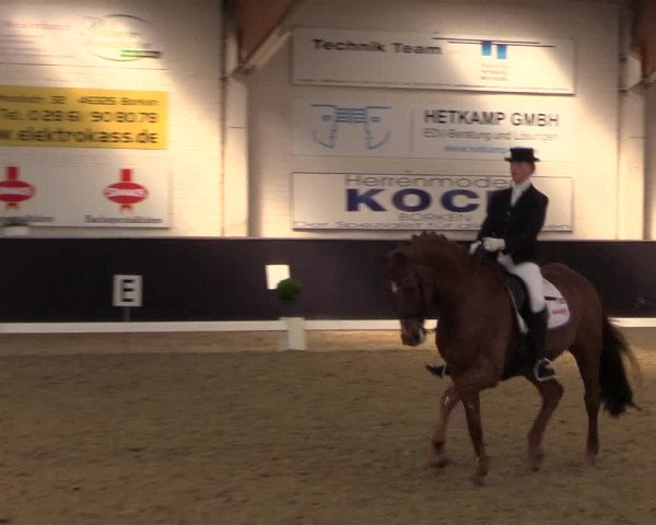 Reitturnier Borken 2016