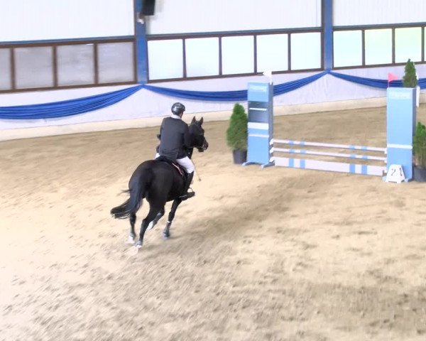 Reitturnier Buchs 2021