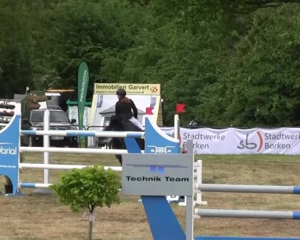 Reitturnier Borken 2016
