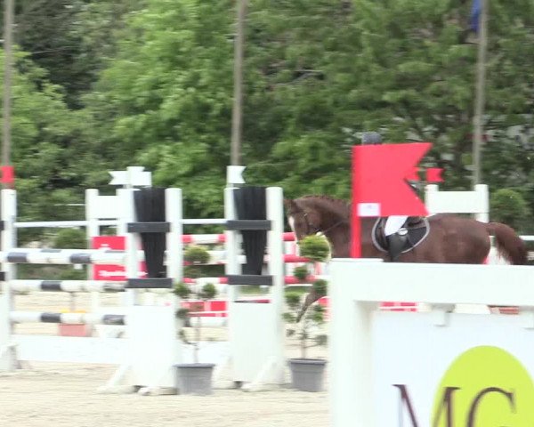 Reitturnier Bochum-Nord 2016