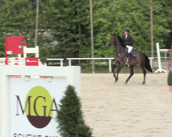 Reitturnier Bochum-Nord 2016