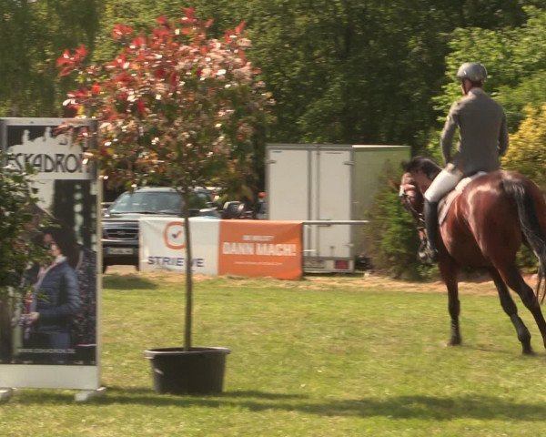 Reitturnier Kreuzkrug 2016