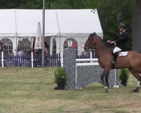 Reitturnier Borken 2016