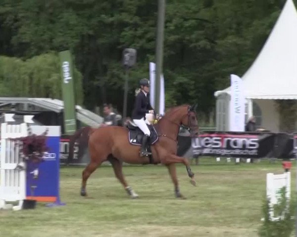 Reitturnier Borken 2016