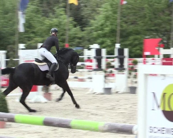 Reitturnier Bochum-Nord 2016