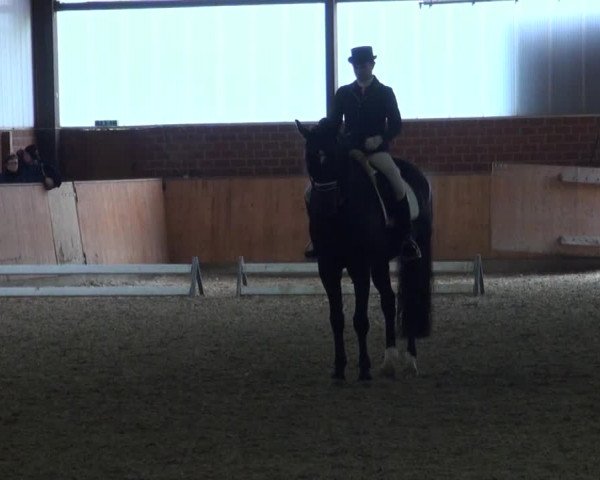 Reitturnier Iserlohn-Kalthof 2016