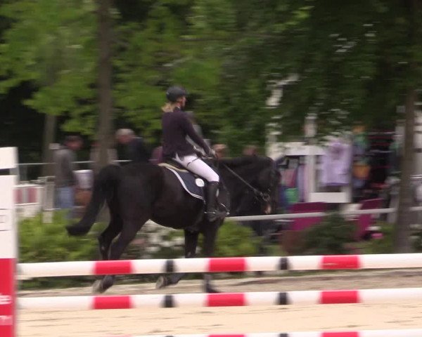 Reitturnier Bochum-Nord 2016