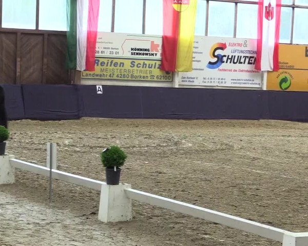 Reitturnier Borken 2016
