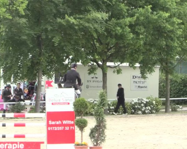 Reitturnier Bochum-Nord 2016