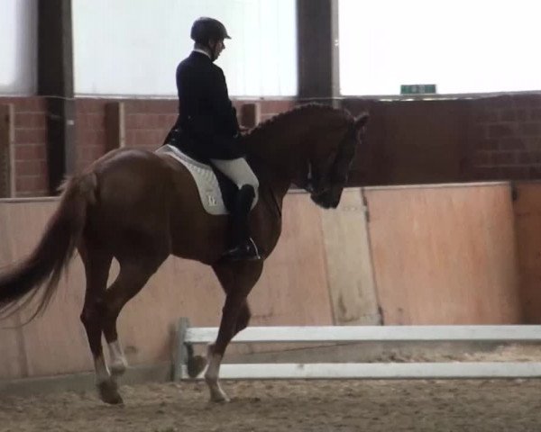 Reitturnier Iserlohn-Kalthof 2016