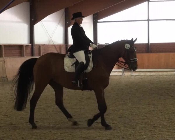 Reitturnier Iserlohn-Kalthof 2016