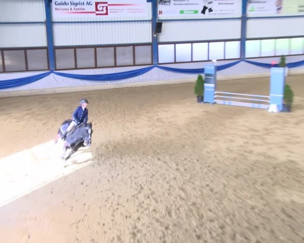 Reitturnier Buchs 2021