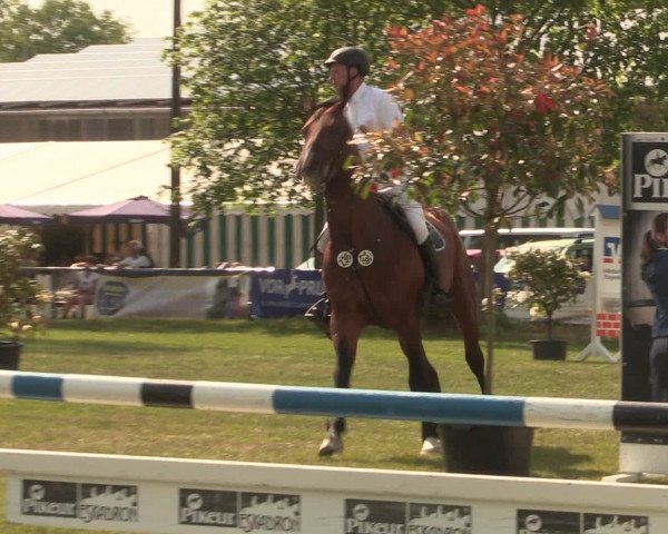 Reitturnier Kreuzkrug 2016