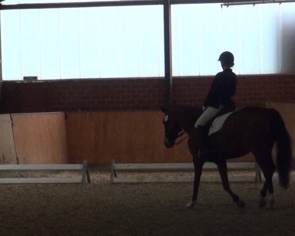 Reitturnier Iserlohn-Kalthof 2016